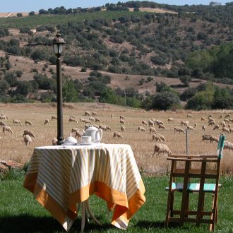 retiro.yoga.segovia.2024 (6)